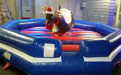 Renne du Père Noël