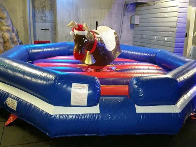 Renne du Père Noël