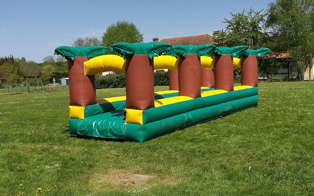 Ventre qui glisse Palmier 8m