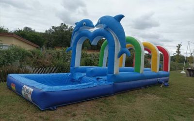 Ventre qui glisse Double Piste 10 m + Piscine